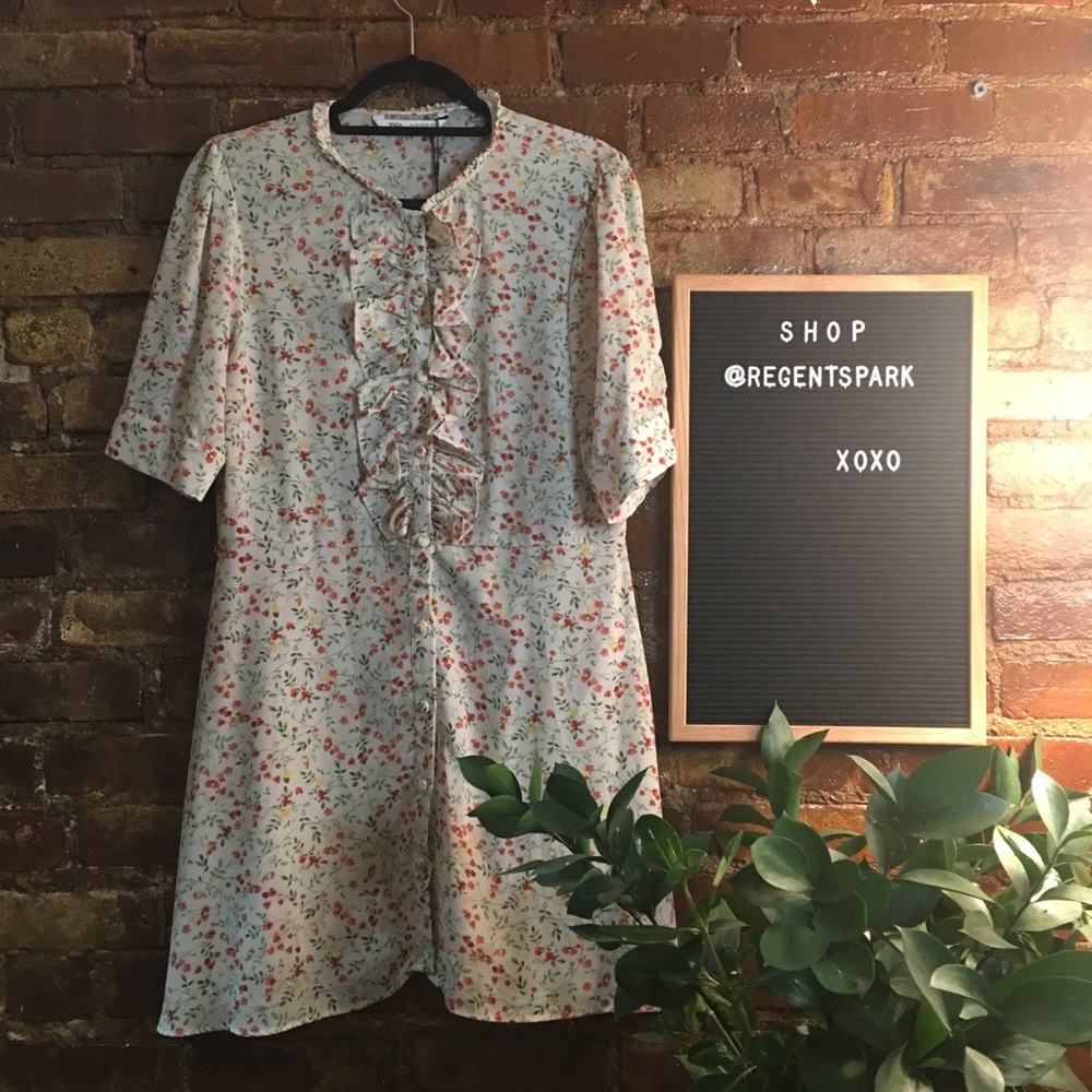 NWT Zara Floral Dress
